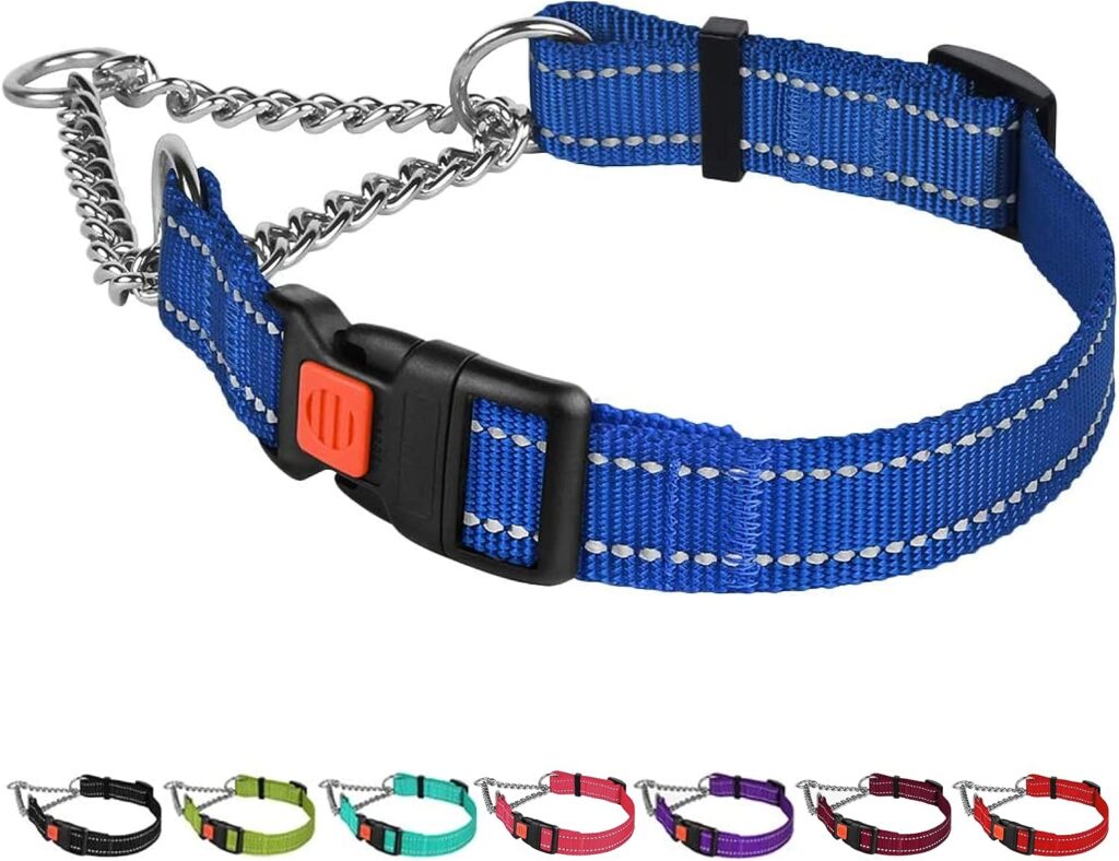 CollarDirect Reflective Dog Collar Martingale Collars Side Release Buckle Chain Training Adjustable Pet Collars (S, Neck Size 12-15, Orange)