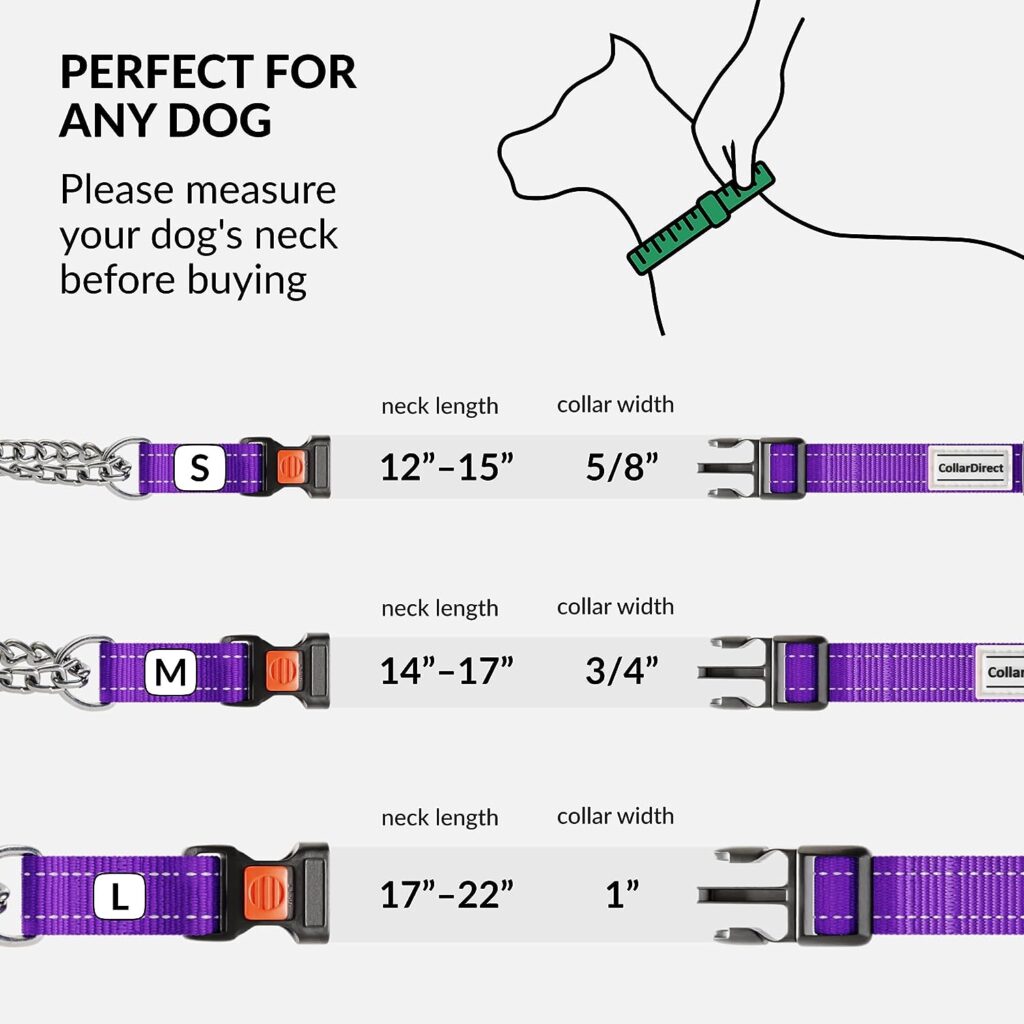 CollarDirect Reflective Dog Collar Martingale Collars Side Release Buckle Chain Training Adjustable Pet Collars (S, Neck Size 12-15, Orange)