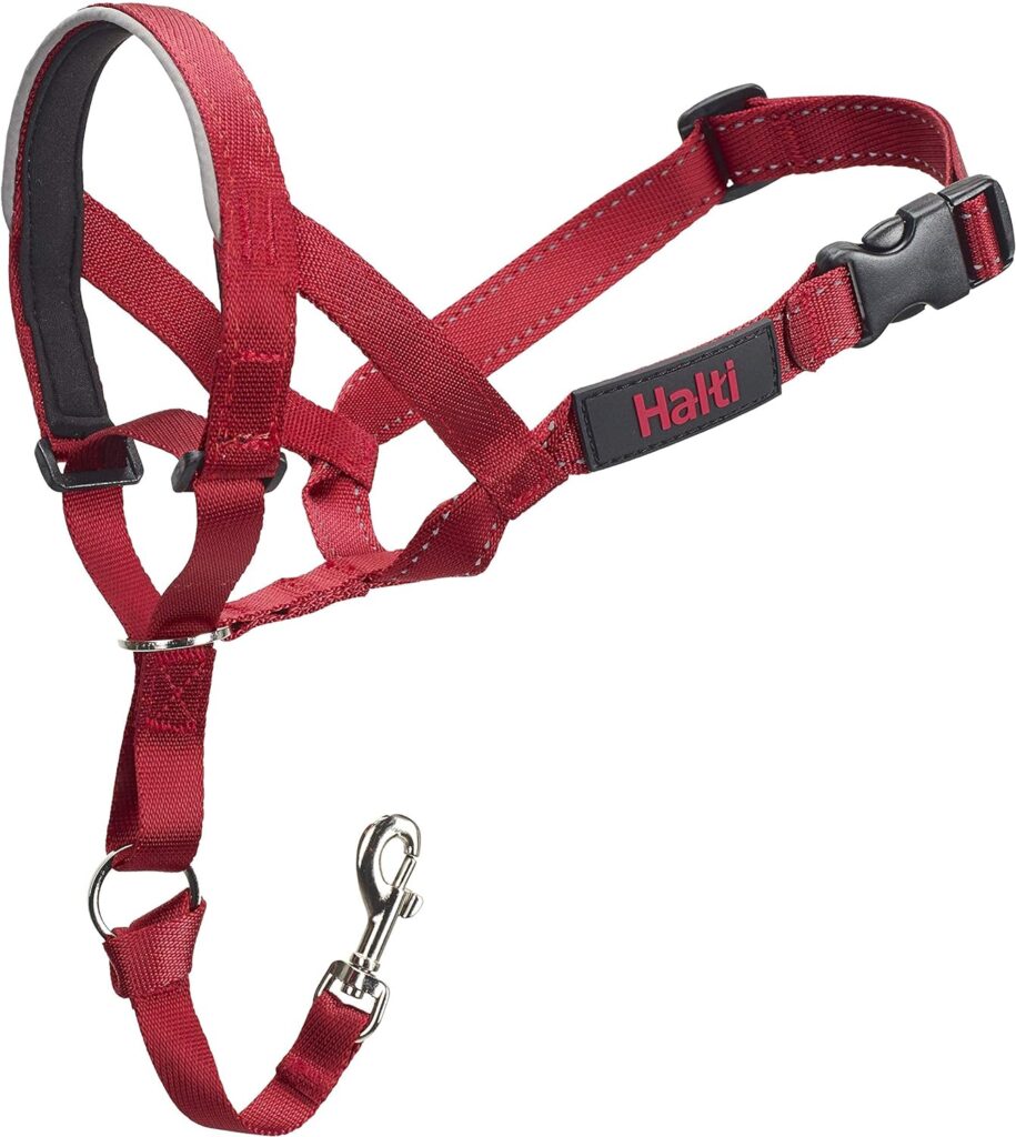 Company of Animals: Halti Headcollar  Double Ended Training Lead Pack suitable for Small, Medium and Large dogs