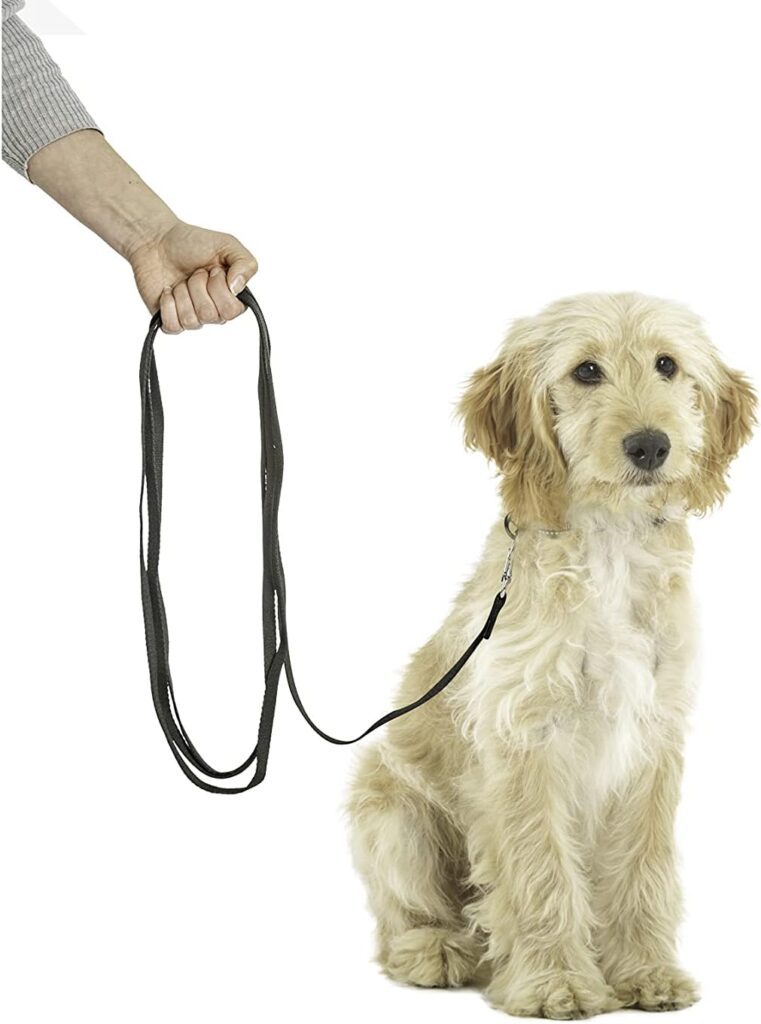 COMPANY OF ANIMALS Recall Line Lightweight 5m, Best Dog Training Equipment, Soft to hold, Perfect for Recall Training, Chasing, Dog  Puppy Training and Socialisation For Small, Medium  Large Dogs
