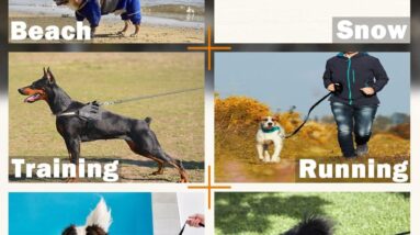 crabgo training lead review