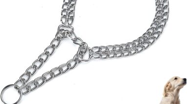 dog choke chain 60cm pet collar chain review
