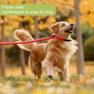dog collar slip collar review
