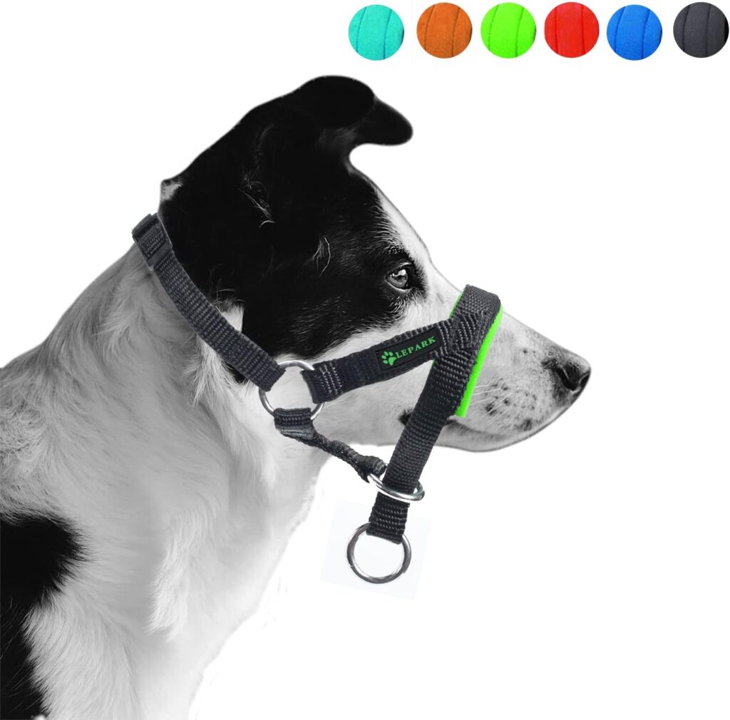 Dog Head Collar Review