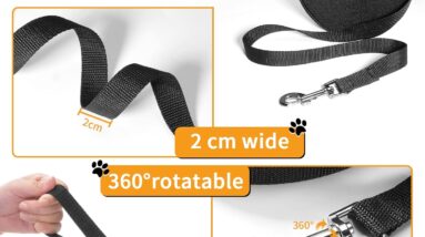 dog leads review