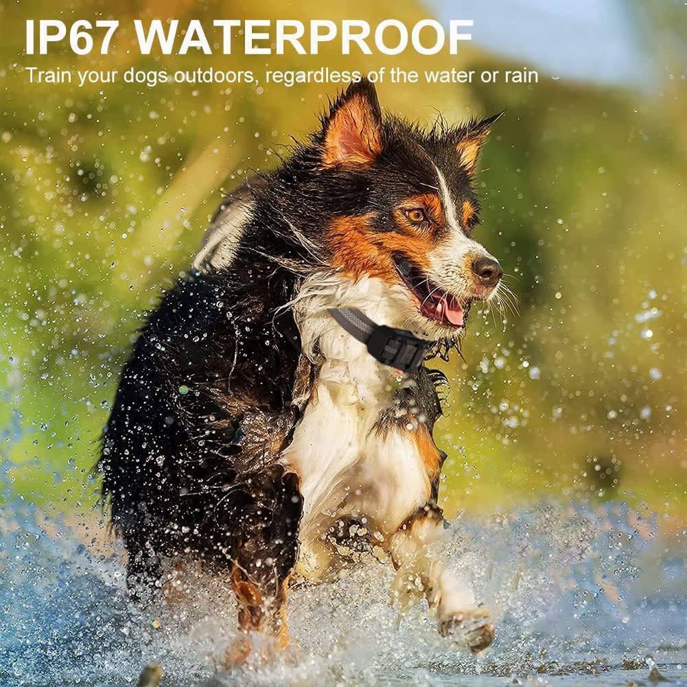 Dog Training Collar with Remote, Sound  Vibration Training Modes, USB Rechargeable IP67 Waterproof, 800 meters Remote Range, Remote Anti Bark Collar for All Dogs