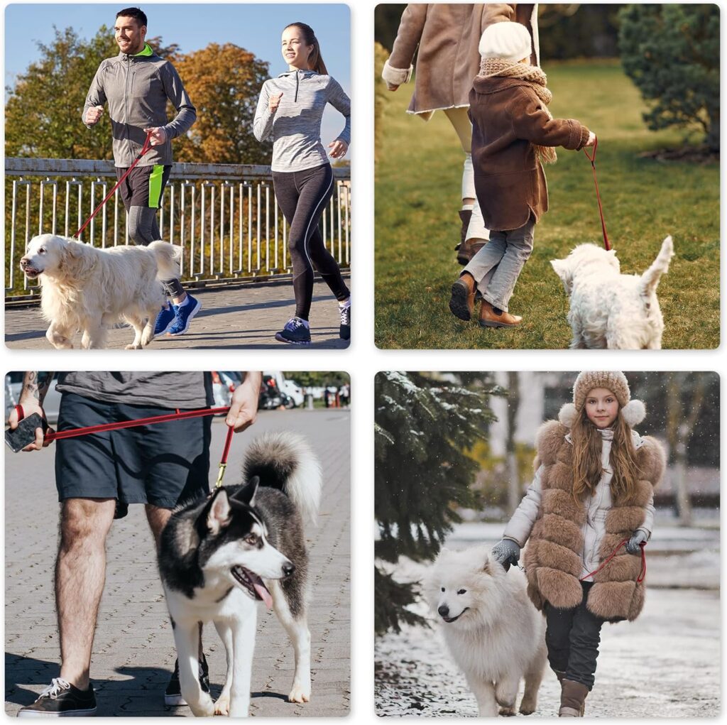 Dog Training Lead, Dog Lead 1.5m/5ft with Metal Hook, Dog Lead Leash for Dog  Puppy Training and Daily Walking (Red)