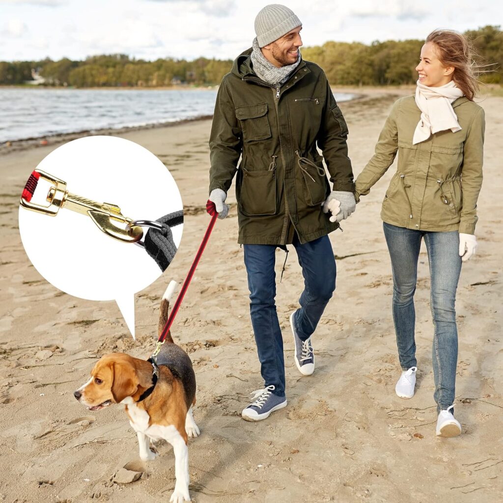 Dog Training Lead, Dog Lead 1.5m/5ft with Metal Hook, Dog Lead Leash for Dog  Puppy Training and Daily Walking (Red)