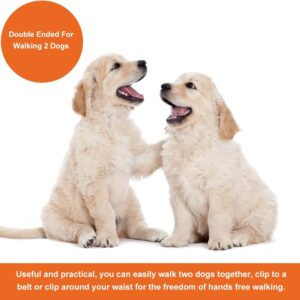 dog training leads review