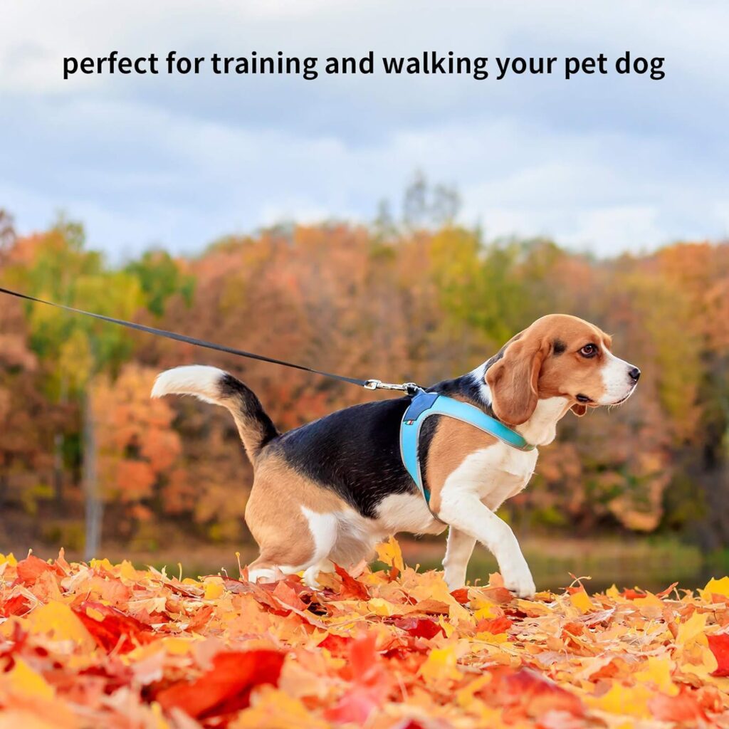 Fanshiontide Dog Training Lead Leash, 10m/33ft Long Lead For Large, Medium and Small Dogs, Long Dog Recall Lead, Recall Obedience Line Leash for Pet (Black)