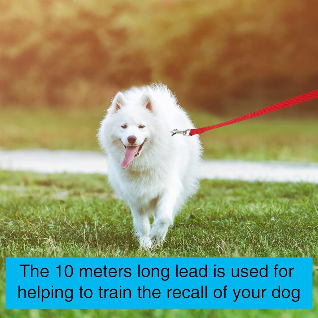 Fanshiontide Dog Training Lead Leash, 10m/33ft Long Lead For Large, Medium and Small Dogs, Long Dog Recall Lead, Recall Obedience Line Leash for Pet (Black)