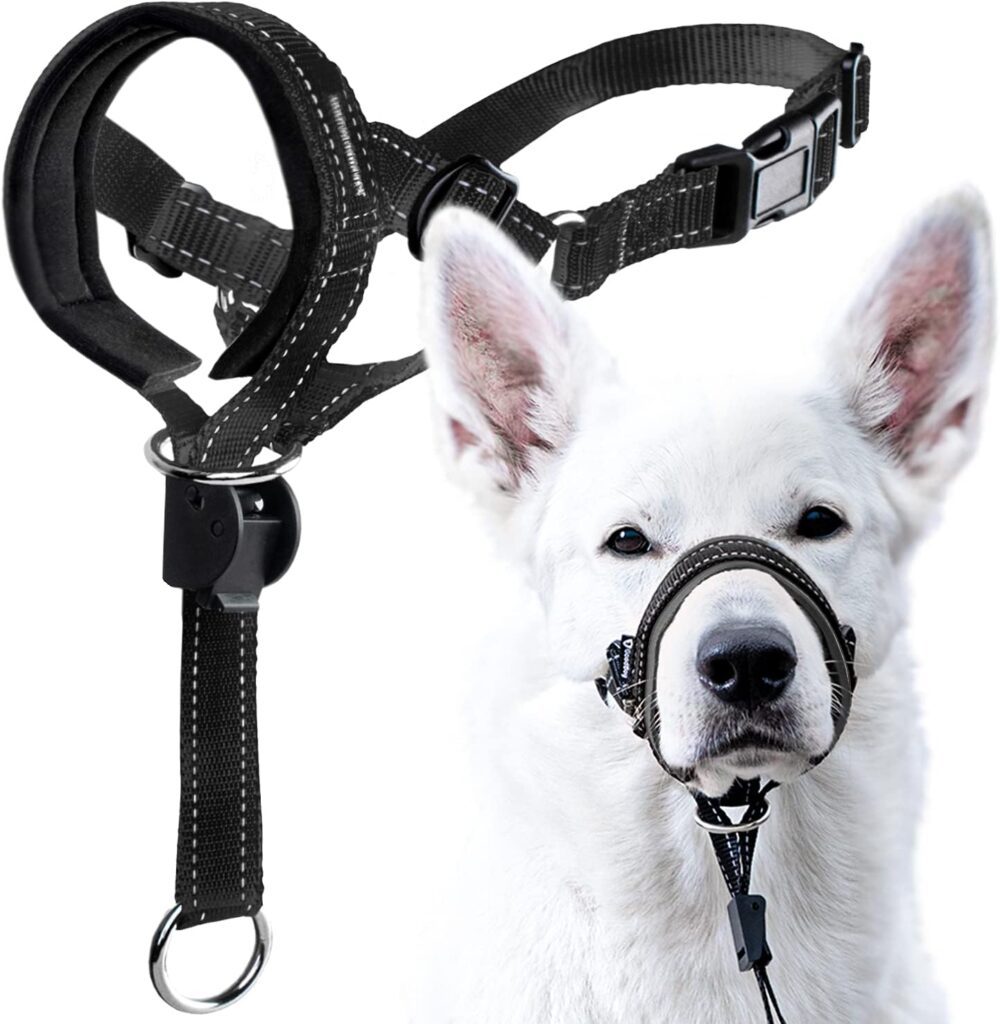 GoodBoy Dog Head Halter Review