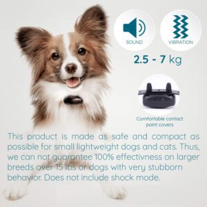 goodboy mini remote collar for dogs review