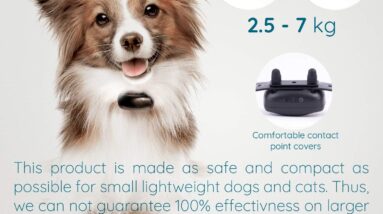 goodboy mini remote collar for dogs review