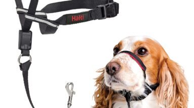 halti optifit headcollar review