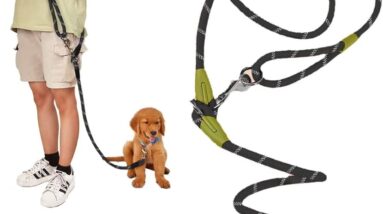 hands free dog leash review