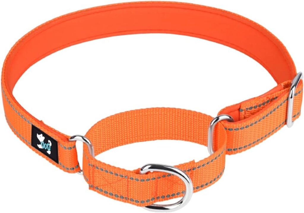 haoyueer Adjustable Martingale Safety Training Dog Collars, Soft Neoprene Padded Breathable Nylon Pet Collar for Small Medium Large Dogs (M, Black)
