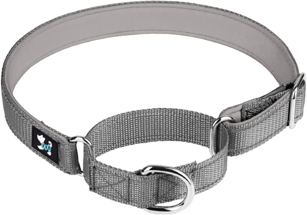 Haoyueer Adjustable Martingale Collar Review