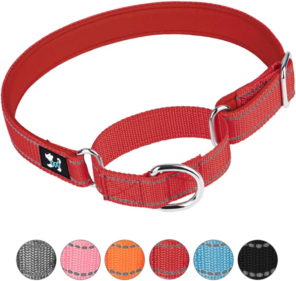 haoyueer Adjustable Martingale Safety Training Dog Collars, Soft Neoprene Padded Breathable Nylon Pet Collar for Small Medium Large Dogs (M, Black)