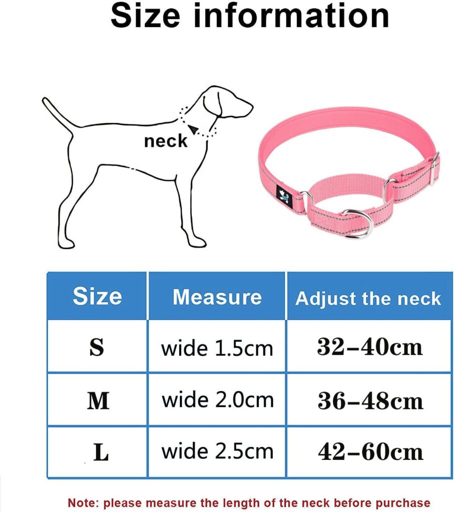 haoyueer Adjustable Martingale Safety Training Dog Collars, Soft Neoprene Padded Breathable Nylon Pet Collar for Small Medium Large Dogs (M, Black)