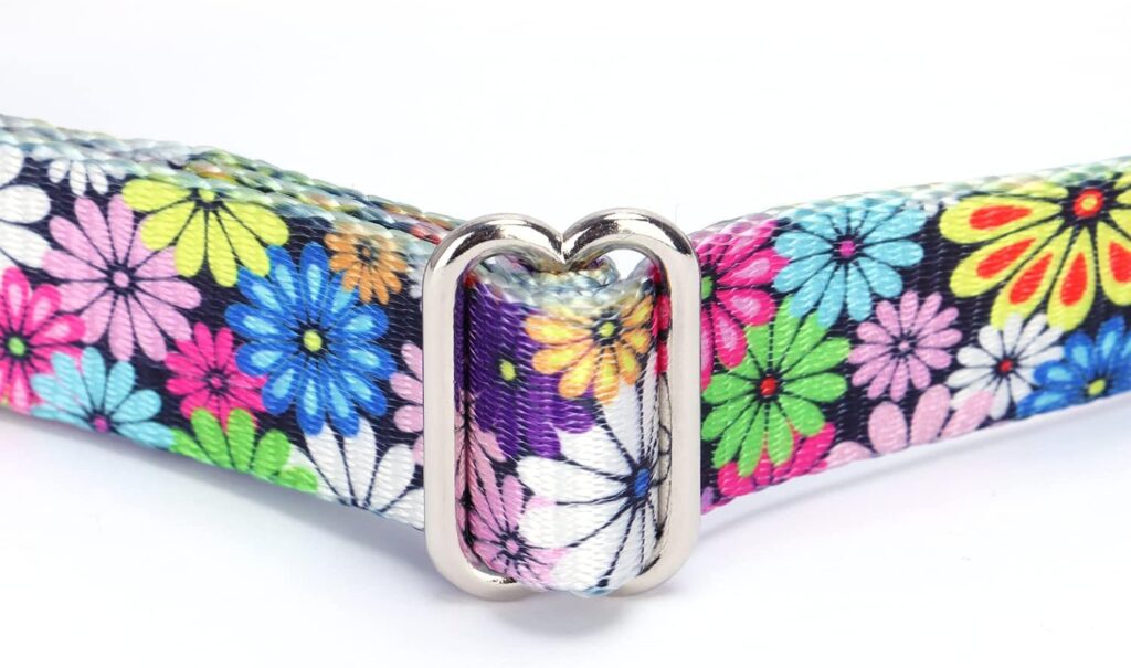 haoyueer Heavy Duty Nylon Adjustable Martingale Dog Collar for Walking Training Boy and Girl Dogs (L:45-53CM, Black) haoyueer Heavy Duty Nylon Adjustable Martingale Dog Collar for Walking Training Boy and Girl Dogs (L:45-53CM, Black)