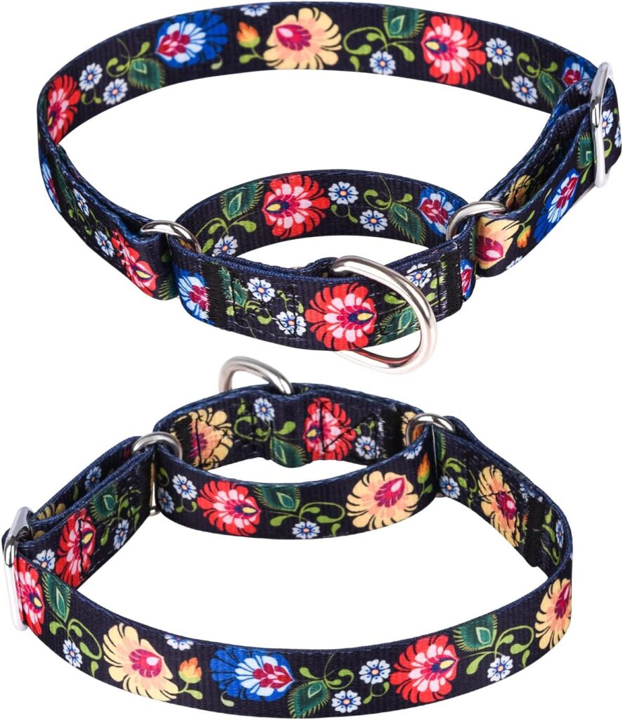 haoyueer Heavy Duty Nylon Adjustable Martingale Dog Collar for Walking Training Boy and Girl Dogs (L:45-53CM, Black) haoyueer Heavy Duty Nylon Adjustable Martingale Dog Collar for Walking Training Boy and Girl Dogs (L:45-53CM, Black)