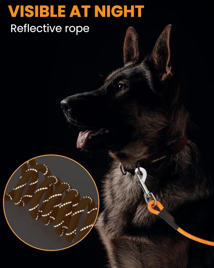 HAPPY HACHI Dog Long Lead 10m/33ft, Reflective Long Line for Dogs Recall Training, Leash Rope for Puppy Small Medium Large, Hands Free with 2 Swivel Clips, Light to Outdoor Explore Walking, Black