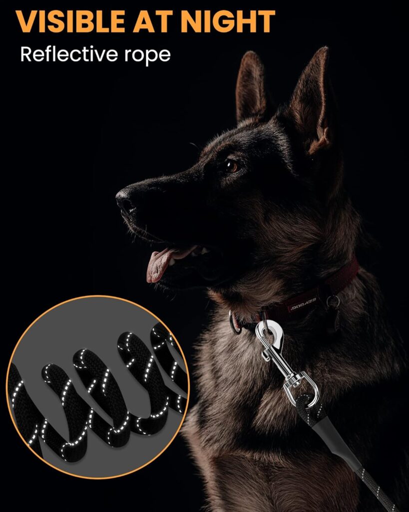 HAPPY HACHI Dog Long Lead 10m/33ft, Reflective Long Line for Dogs Recall Training, Leash Rope for Puppy Small Medium Large, Hands Free with 2 Swivel Clips, Light to Outdoor Explore Walking, Black