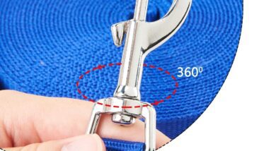 happy hachi dog training lead review