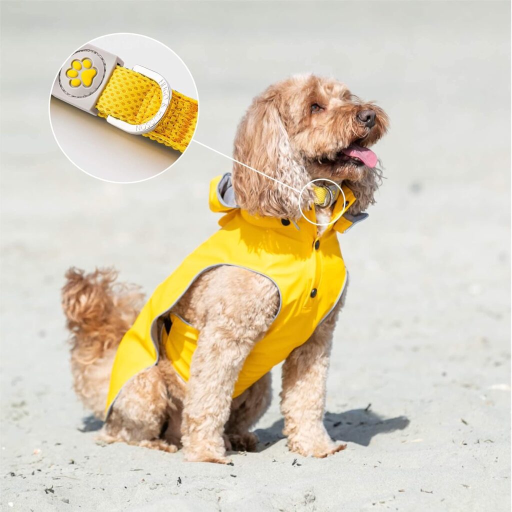 HUGO HUDSON Pet Dog Collar - Soft Comfy Breathable Mesh for Training and Walking - Lightweight Adjustable Neck Collar for Small, Medium and Large Breeds - Yellow - XS HUGO HUDSON Pet Dog Collar - Soft Comfy Breathable Mesh for Training and Walking - Lightweight Adjustable Neck Collar for Small, Medium and Large Breeds - Yellow - XS