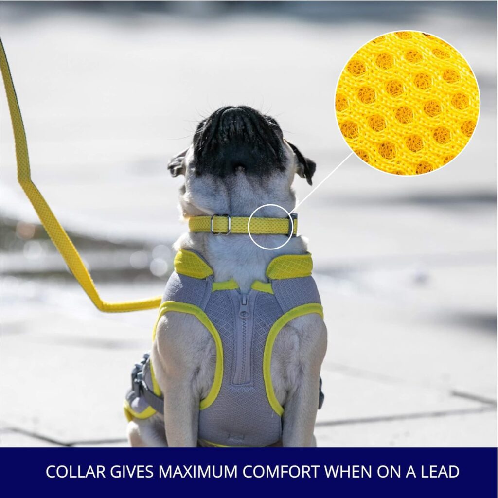 HUGO HUDSON Pet Dog Collar - Soft Comfy Breathable Mesh for Training and Walking - Lightweight Adjustable Neck Collar for Small, Medium and Large Breeds - Yellow - XS HUGO HUDSON Pet Dog Collar - Soft Comfy Breathable Mesh for Training and Walking - Lightweight Adjustable Neck Collar for Small, Medium and Large Breeds - Yellow - XS