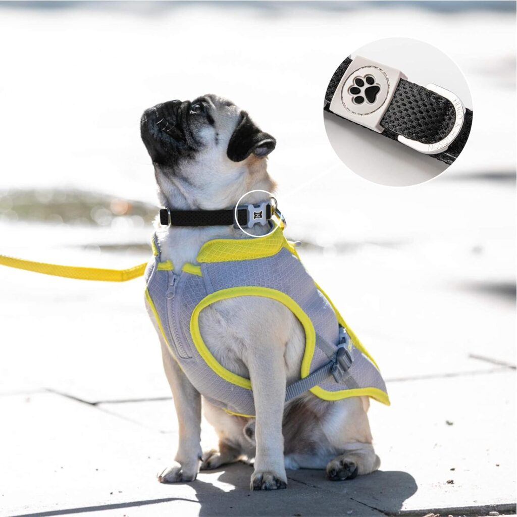 HUGO HUDSON Pet Dog Collar - Soft Comfy Breathable Mesh for Training and Walking - Lightweight Adjustable Neck Collar for Small, Medium and Large Breeds - Yellow - XS HUGO HUDSON Pet Dog Collar - Soft Comfy Breathable Mesh for Training and Walking - Lightweight Adjustable Neck Collar for Small, Medium and Large Breeds - Yellow - XS