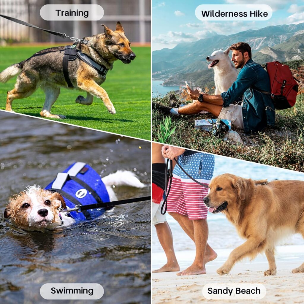 Jsdoin Nylon Training Lead for Dogs, 10m/32ft Extra Long Line Dog Lead Leash for Large Medium Small Puppy, Training Leads for Pet Tracking Training Camping Play and Backyard Jsdoin Nylon Training Lead for Dogs, 10m/32ft Extra Long Line Dog Lead Leash for Large Medium Small Puppy, Training Leads for Pet Tracking Training Camping Play and Backyard