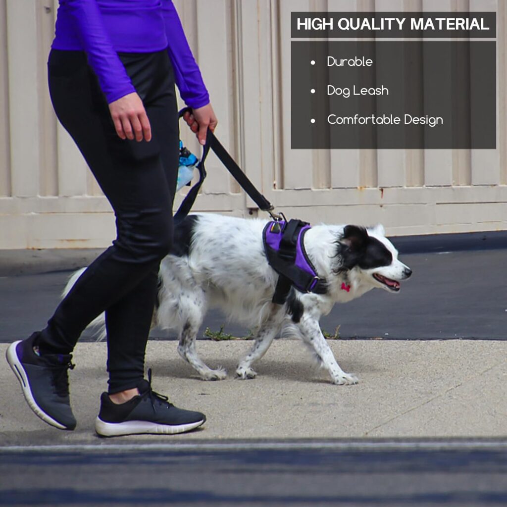 Jsdoin Nylon Training Lead for Dogs, 10m/32ft Extra Long Line Dog Lead Leash for Large Medium Small Puppy, Training Leads for Pet Tracking Training Camping Play and Backyard Jsdoin Nylon Training Lead for Dogs, 10m/32ft Extra Long Line Dog Lead Leash for Large Medium Small Puppy, Training Leads for Pet Tracking Training Camping Play and Backyard