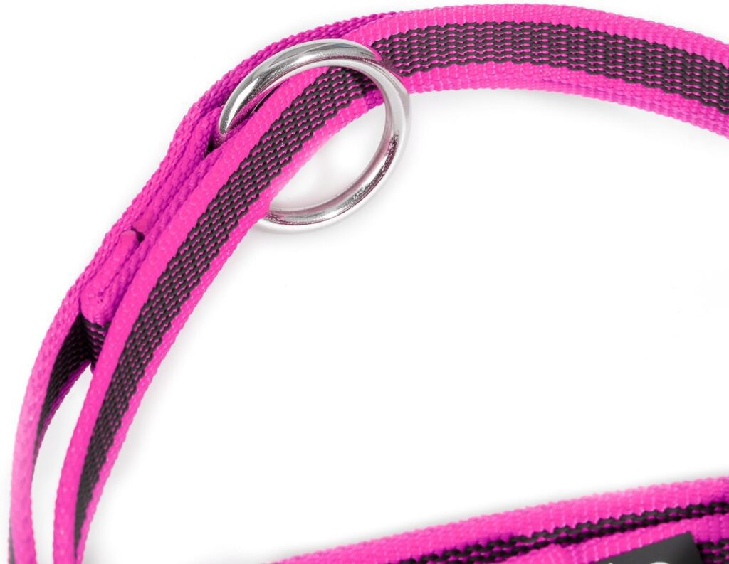 Julius-K9 216GM-PN-DP Color  Gray Super-Grip Leash, Adjustable, 20 mm x 2.2 m, Pink-Gray
