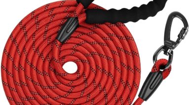 kdsvakd training lead review