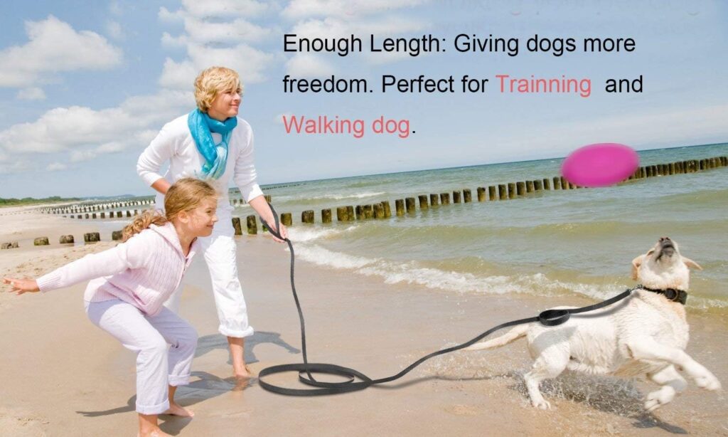 Lampop Dog Training Lead Leash Heavy Duty Strong Nylon Long Line Lead with Soft Padded Handle for Medium Large Small Dogs Training, Running, Play, Tracking, Camping, or Backyard (S,6m/20ft, Black)