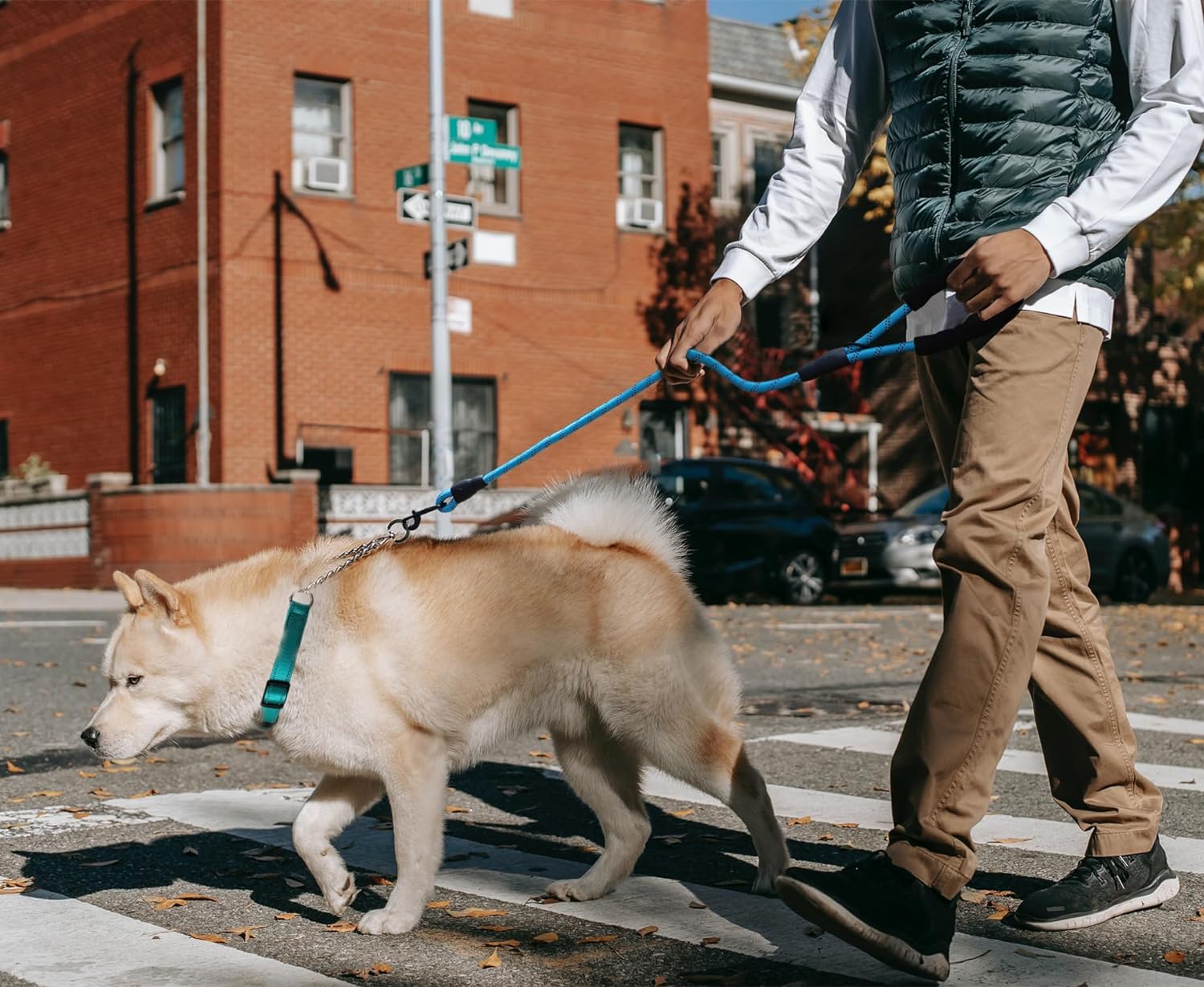 LOS ANDES Dog Choke Collar Martingale Collar Review