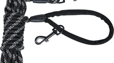 mechheit training lead review