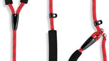 nexluve dog slip lead 6ft review