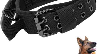 nylon training collar review