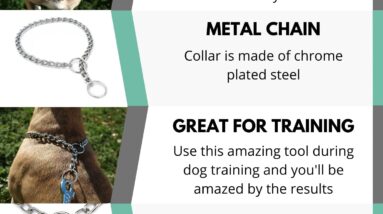 paradogs strong dog chain collar review