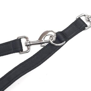 police style dog training lead review