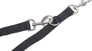 police style dog training lead review