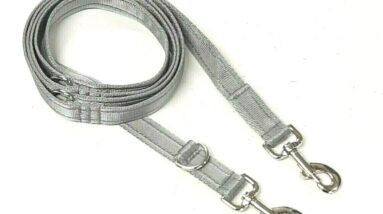 police style dog training leads double ended leash review