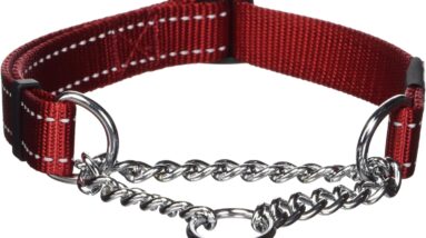 reflective nylon choke collar review