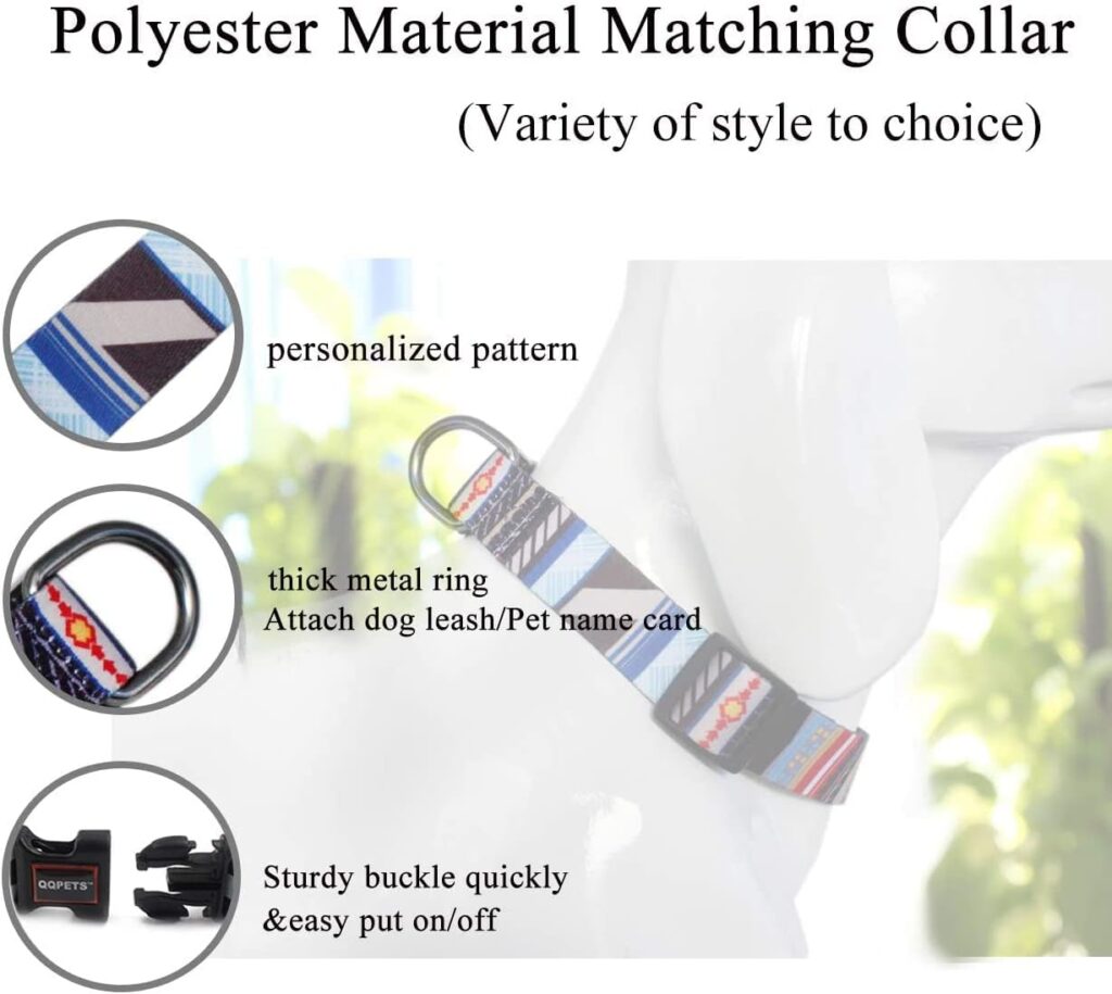 RosesPoetry Dog Collar and Lead for Small,Adjustable Durable Bee 5ft Puppy Leash Collar for Dog Training Lead（Bee-S）