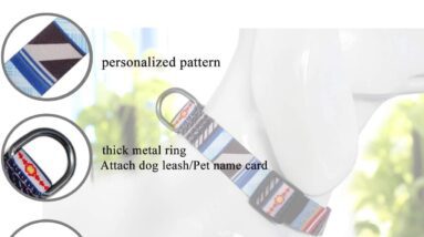 rosespoetry dog collar review