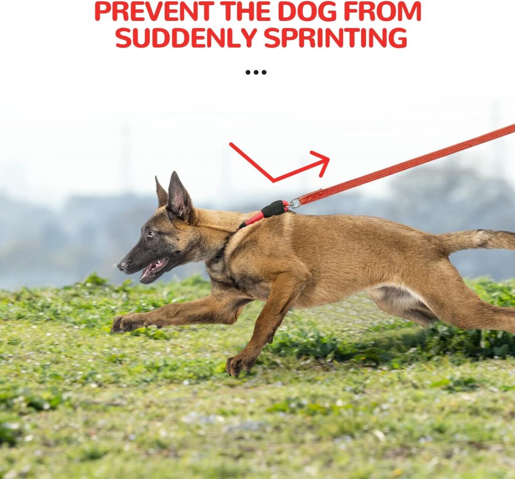 Slip Collar for Dogs Training Slip Choke Collar Soft Collar No Pull Collar Rope for Pet Walking Round Climbing Rope Material Dog Adjustable P Collar,Suitable for Small Medium Large Dogs(Black,M)