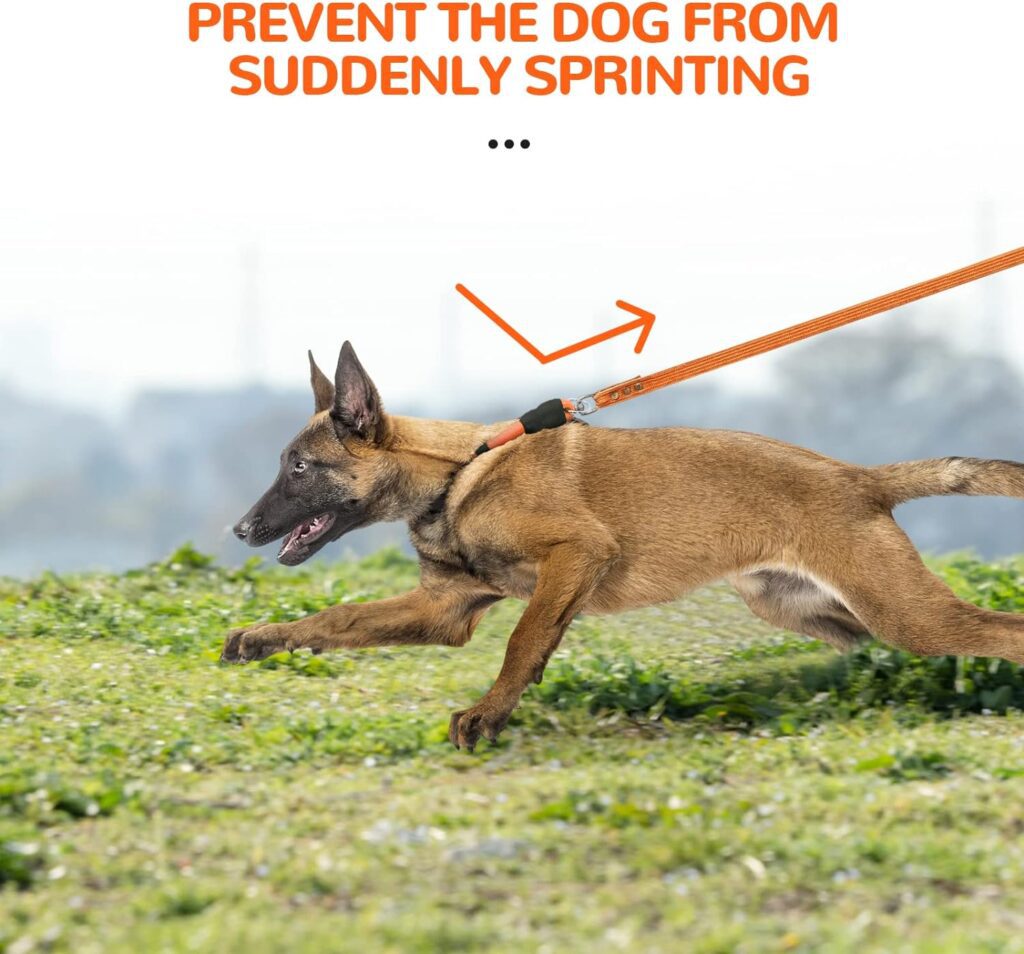 Slip Collar Training Rope Review